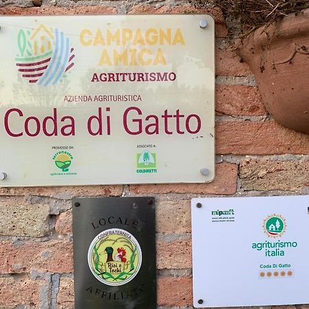 Agriturismo Coda Di Gatto Eraclea Dış mekan fotoğraf