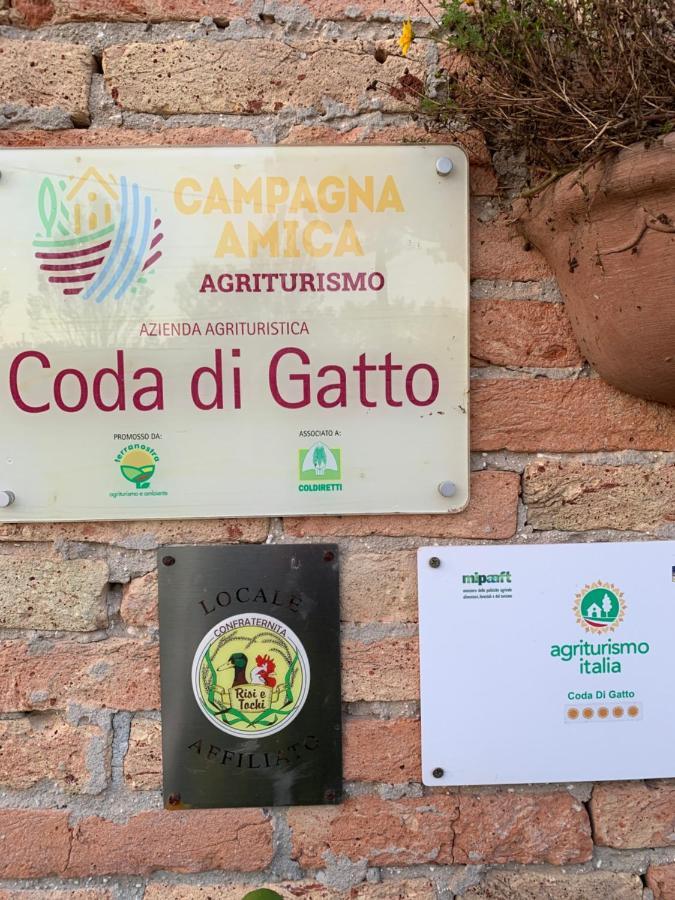 Agriturismo Coda Di Gatto Eraclea Dış mekan fotoğraf